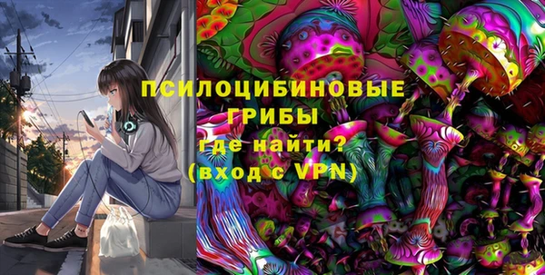 ГАЛЛЮЦИНОГЕННЫЕ ГРИБЫ Алексин