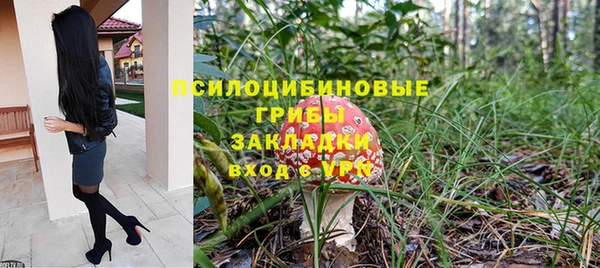 мдпв Пролетарск